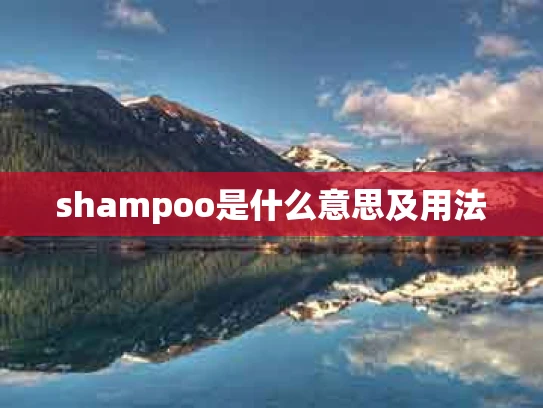 shampoo是什么意思及用法