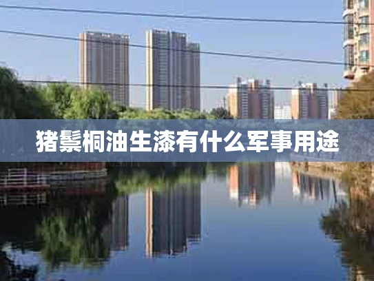 猪鬃桐油生漆有什么军事用途