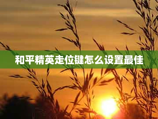 和平精英走位键怎么设置最佳