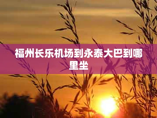 福州长乐机场到永泰大巴到哪里坐