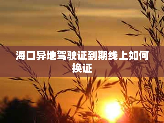 海口异地驾驶证到期线上如何换证