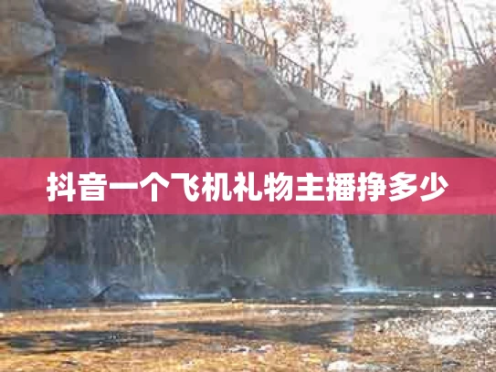 抖音一个飞机礼物主播挣多少