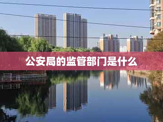 公安局的监管部门是什么