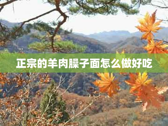 正宗的羊肉臊子面怎么做好吃