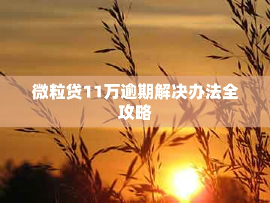 微粒贷11万逾期解决办法全攻略