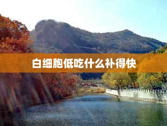 白细胞低吃什么补得快