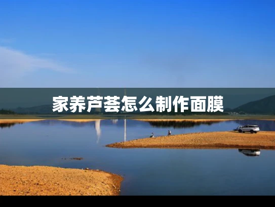 家养芦荟怎么制作面膜