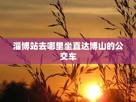 淄博站去哪里坐直达博山的公交车