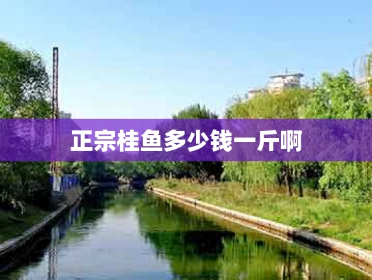 正宗桂鱼多少钱一斤啊