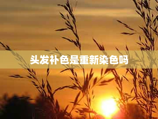 头发补色是重新染色吗
