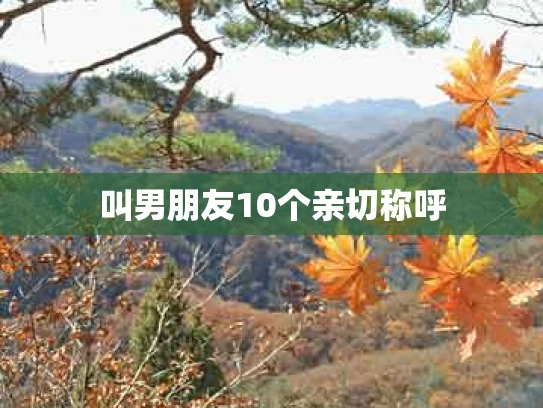 叫男朋友10个亲切称呼