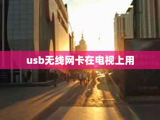 usb无线网卡在电视上用