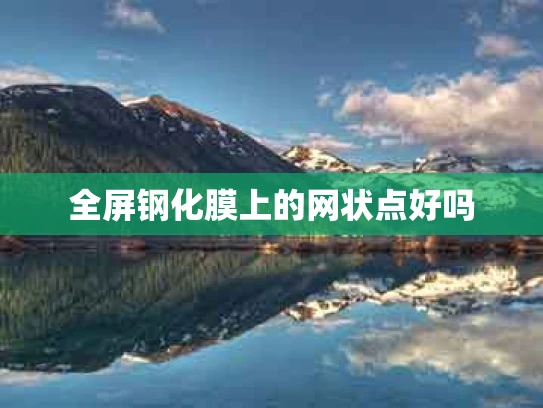 全屏钢化膜上的网状点好吗