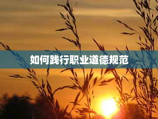 如何践行职业道德规范
