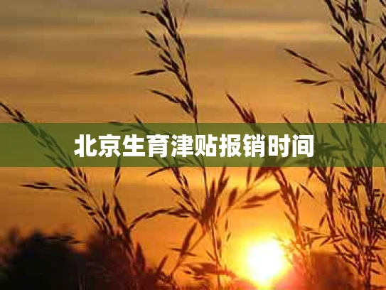 北京生育津贴报销时间