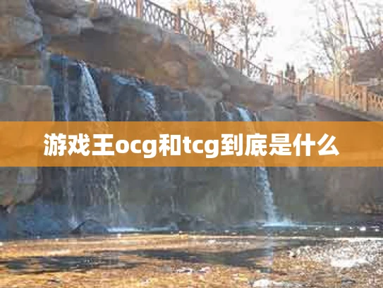 游戏王ocg和tcg到底是什么
