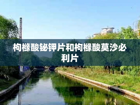 枸橼酸铋钾片和枸橼酸莫沙必利片