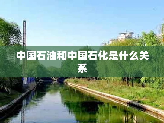 中国石油和中国石化是什么关系