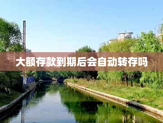 大额存款到期后会自动转存吗