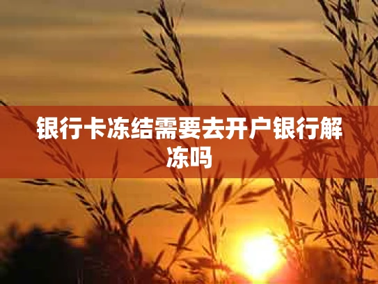 银行卡冻结需要去开户银行解冻吗