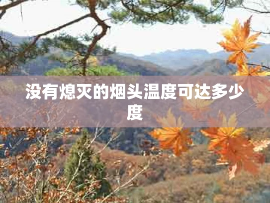 没有熄灭的烟头温度可达多少度