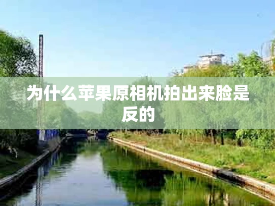为什么苹果原相机拍出来脸是反的