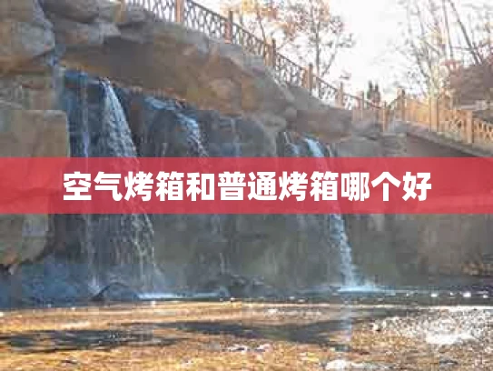 空气烤箱和普通烤箱哪个好