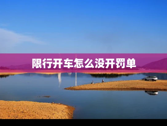 限行开车怎么没开罚单