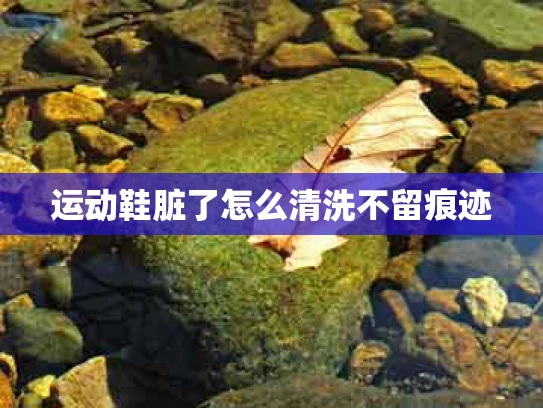 运动鞋脏了怎么清洗不留痕迹