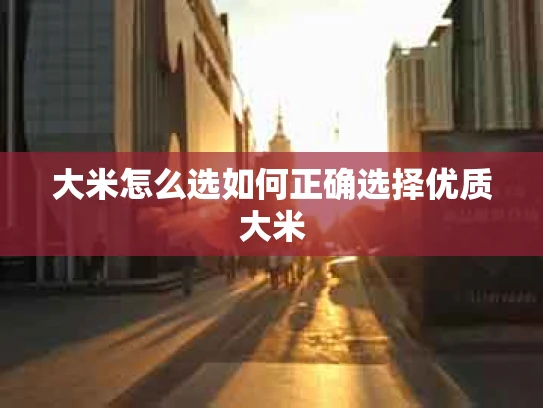 大米怎么选如何正确选择优质大米