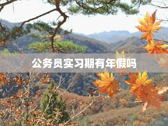 公务员实习期有年假吗