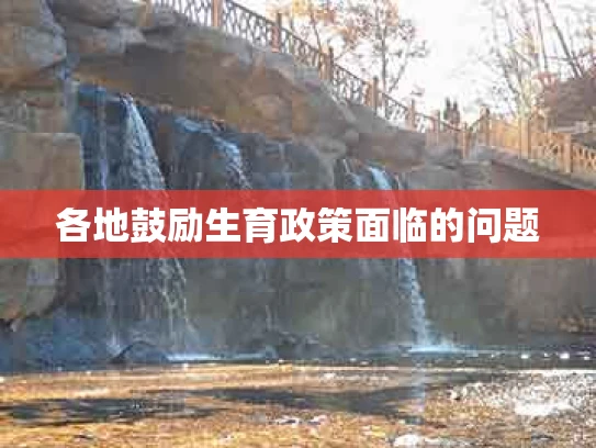 各地鼓励生育政策面临的问题