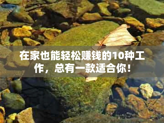 在家也能轻松赚钱的10种工作，总有一款适合你！