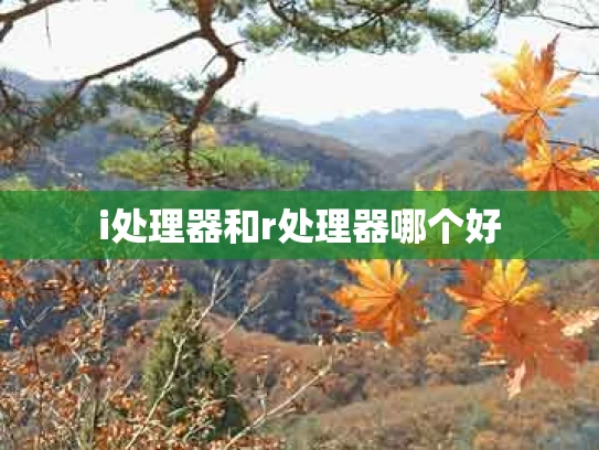 i处理器和r处理器哪个好