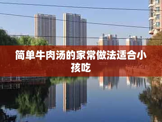 简单牛肉汤的家常做法适合小孩吃
