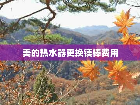 美的热水器更换镁棒费用