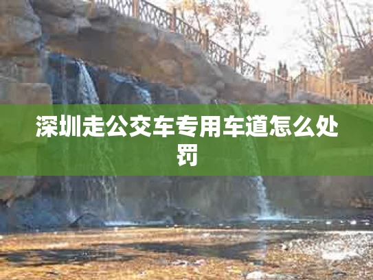 深圳走公交车专用车道怎么处罚