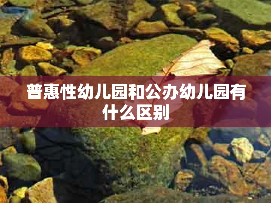 普惠性幼儿园和公办幼儿园有什么区别