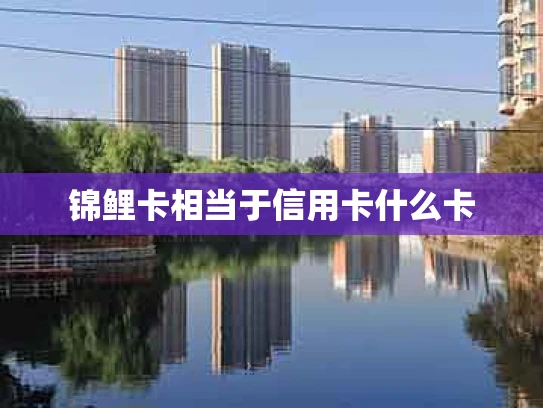 锦鲤卡相当于信用卡什么卡