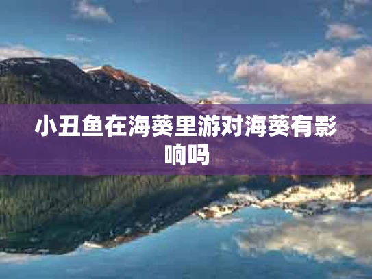 小丑鱼在海葵里游对海葵有影响吗