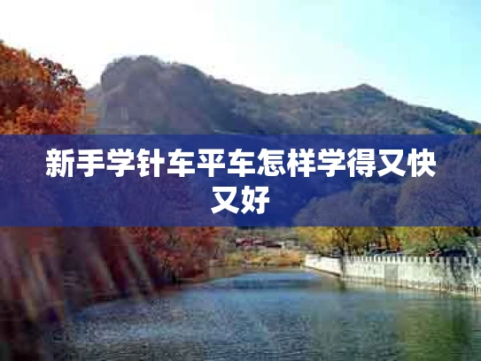 新手学针车平车怎样学得又快又好