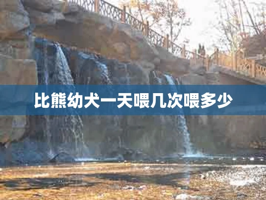 比熊幼犬一天喂几次喂多少