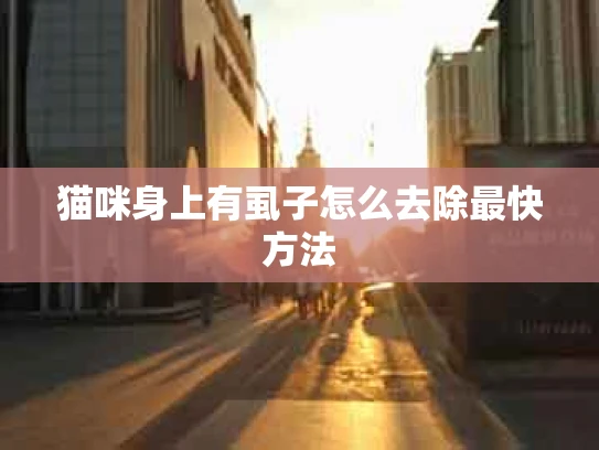 猫咪身上有虱子怎么去除最快方法