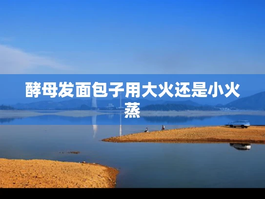 酵母发面包子用大火还是小火蒸