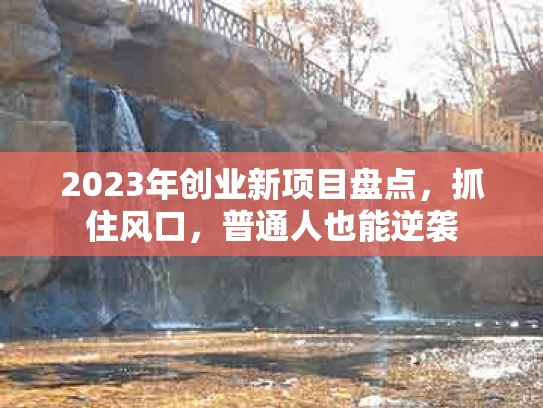 2023年创业新项目盘点，抓住风口，普通人也能逆袭