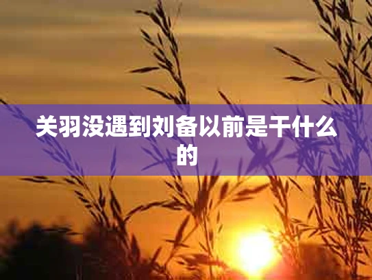 关羽没遇到刘备以前是干什么的
