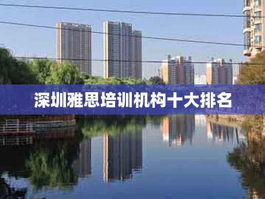 深圳雅思培训机构十大排名
