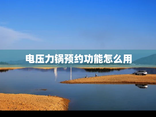 电压力锅预约功能怎么用