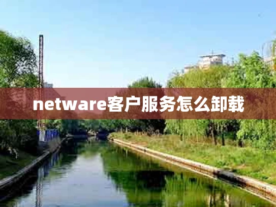 netware客户服务怎么卸载