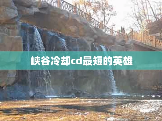峡谷冷却cd最短的英雄